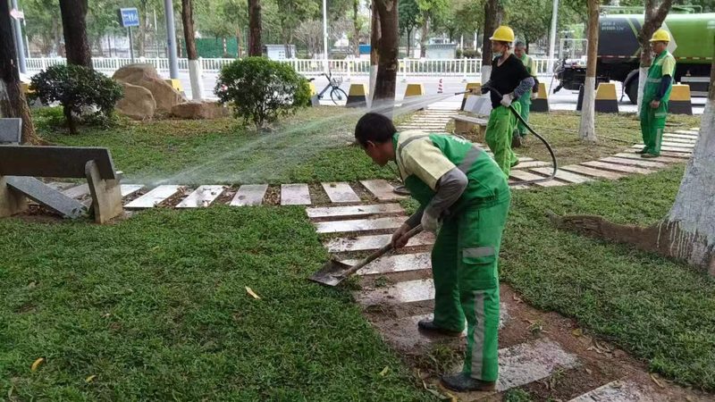 办公室绿植租摆：如何打造绿色健康的工作环境**