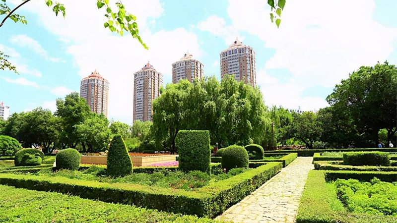小区绿化修剪，这几点你注意到了吗？**
