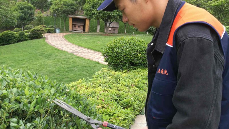 公园假山喷泉合同范本：关键条款与注意事项**