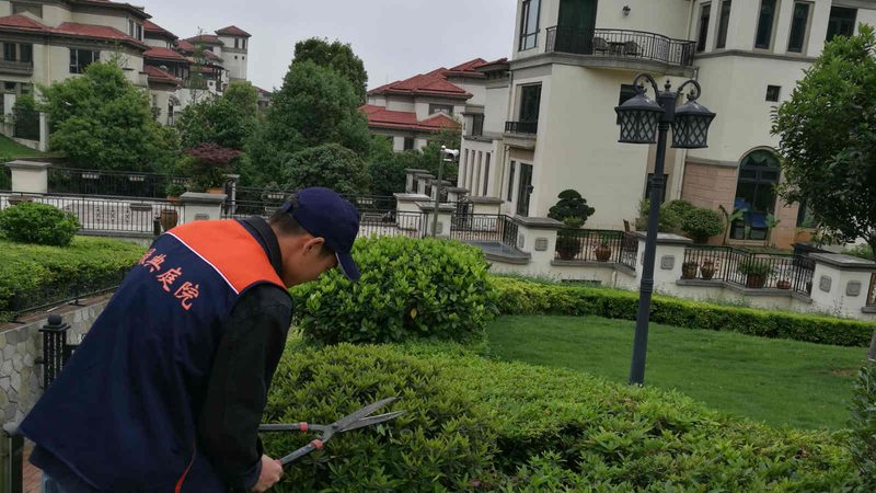 工厂绿植租赁，如何选择合适的厂家？**