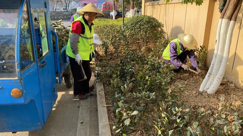 园林绿化工程报价，为何没人能一口说死