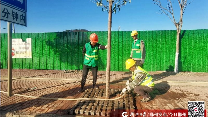 绿化成活率低？问题可能出在设备选型上
