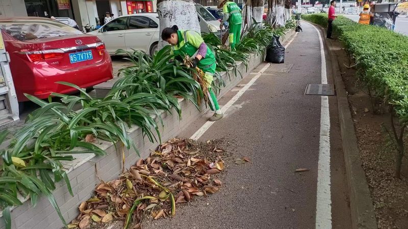 江苏园林建设有限公司