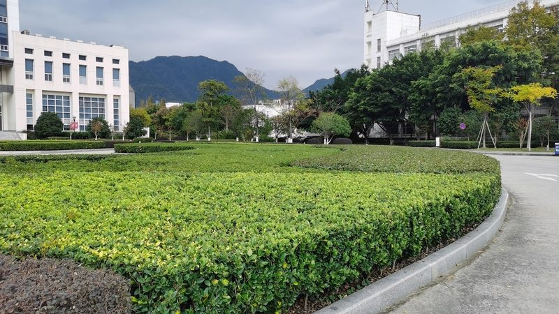 苏州园林公司选哪家？揭秘园林工程背后的关键因素