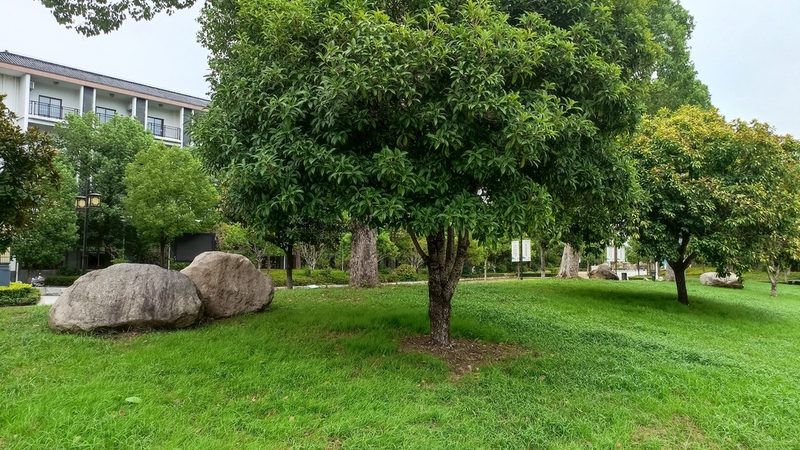 别墅庭院园林景观设计效果图怎么做：专业解析与关键步骤