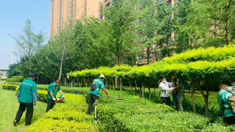 揭秘广东小区绿化石材批发价格背后的秘密
